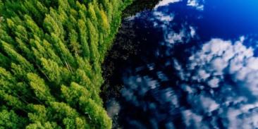 Overhead snapshot of forest filled with trees alongside a lake with the reflection of clouds in sky