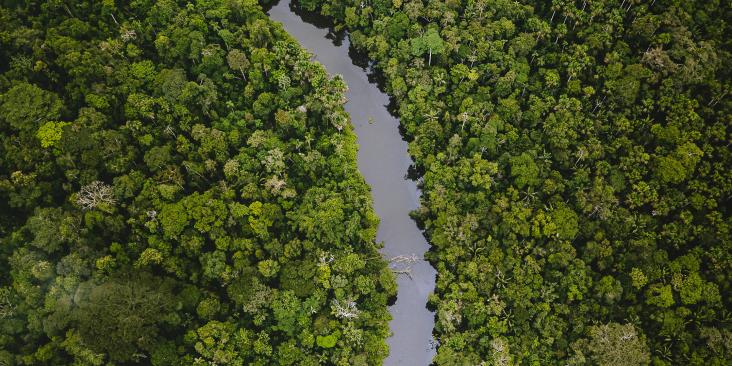 River running through a rainforest, viewed from overhead.