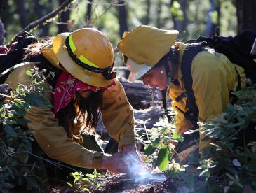 Two people in yellow firefighting gear in a forested landscape.