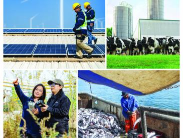 A collage of images depicting various environmental issues