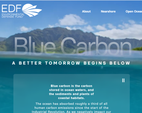 Blue carbon landing page screenshot