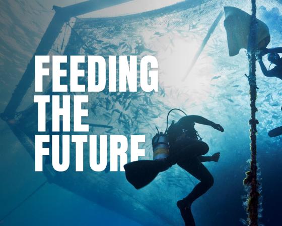 Two scuba divers viewed from below, with the words 'Feeding the future' on the screen.